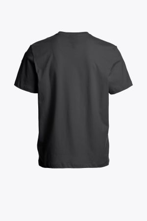 SHISPARE TEE 0325/GARGOYLE