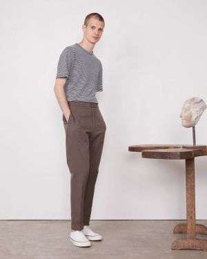 JOSEPH TAUPE