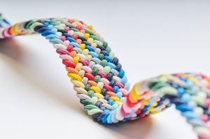  MULTI Multicolo